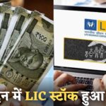14 दिन में पैसा डबल! LIC के इस छोटे स्टॉक ने कैसे किया नीचे से ऊपर का सफर, जानिए