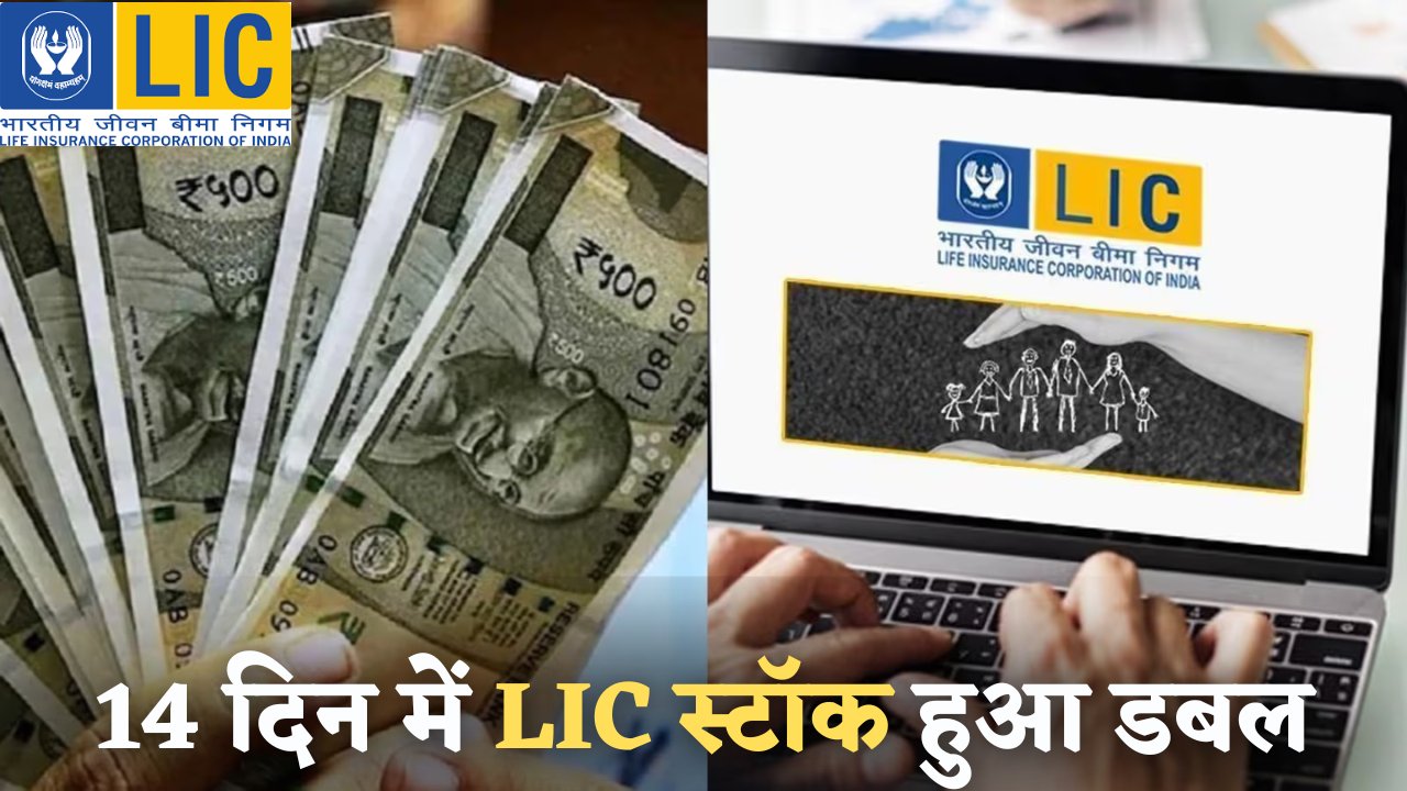 LIC stock